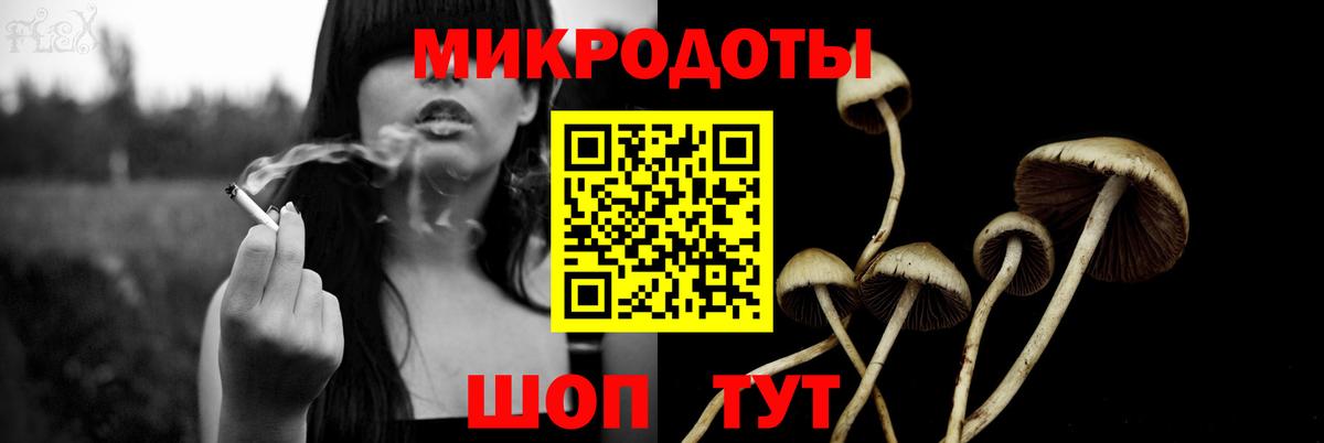 Галлюциногенные грибы GOLDEN TEACHER  Вход с VPN  Псилоцибиновые грибы ЛСД  наркошоп  Дивногорск 
